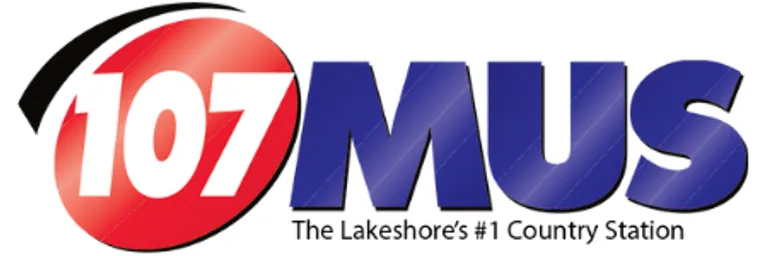 null logo