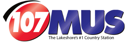 null logo