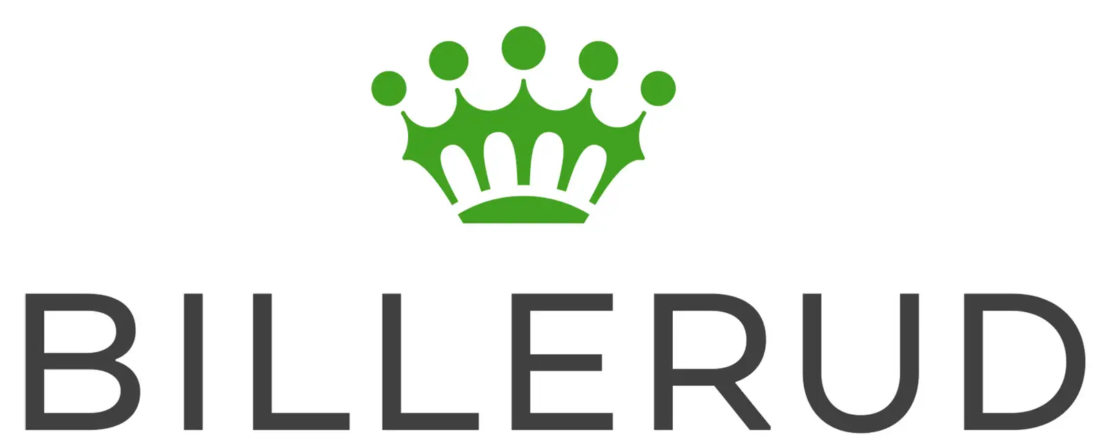 Billierud logo