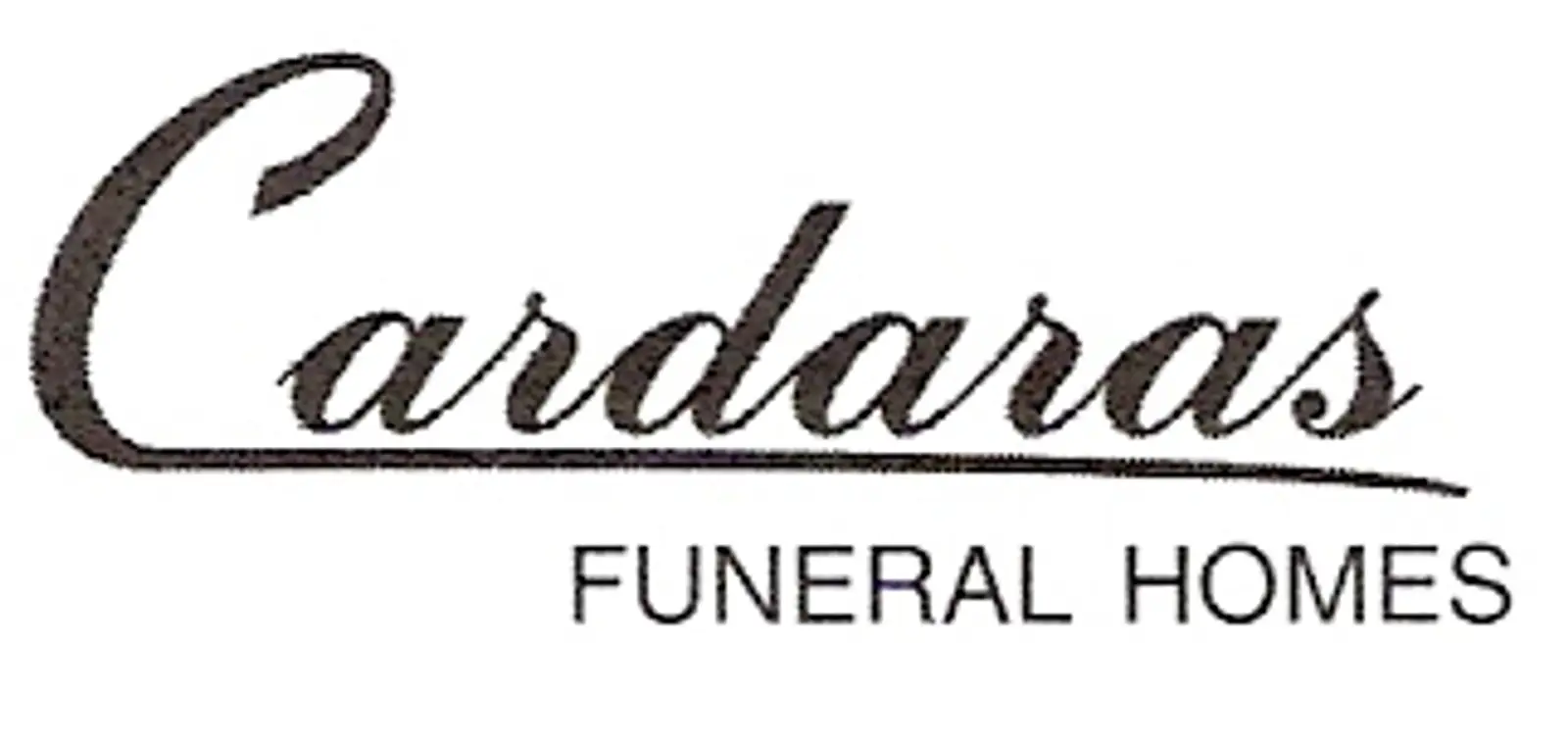null logo