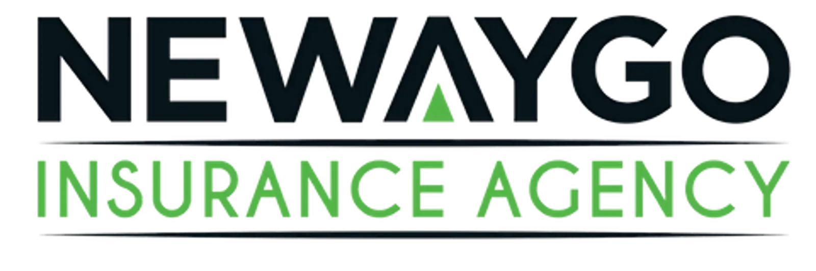 Newaygo Insurance logo