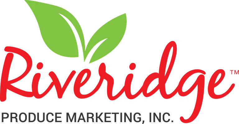 null logo