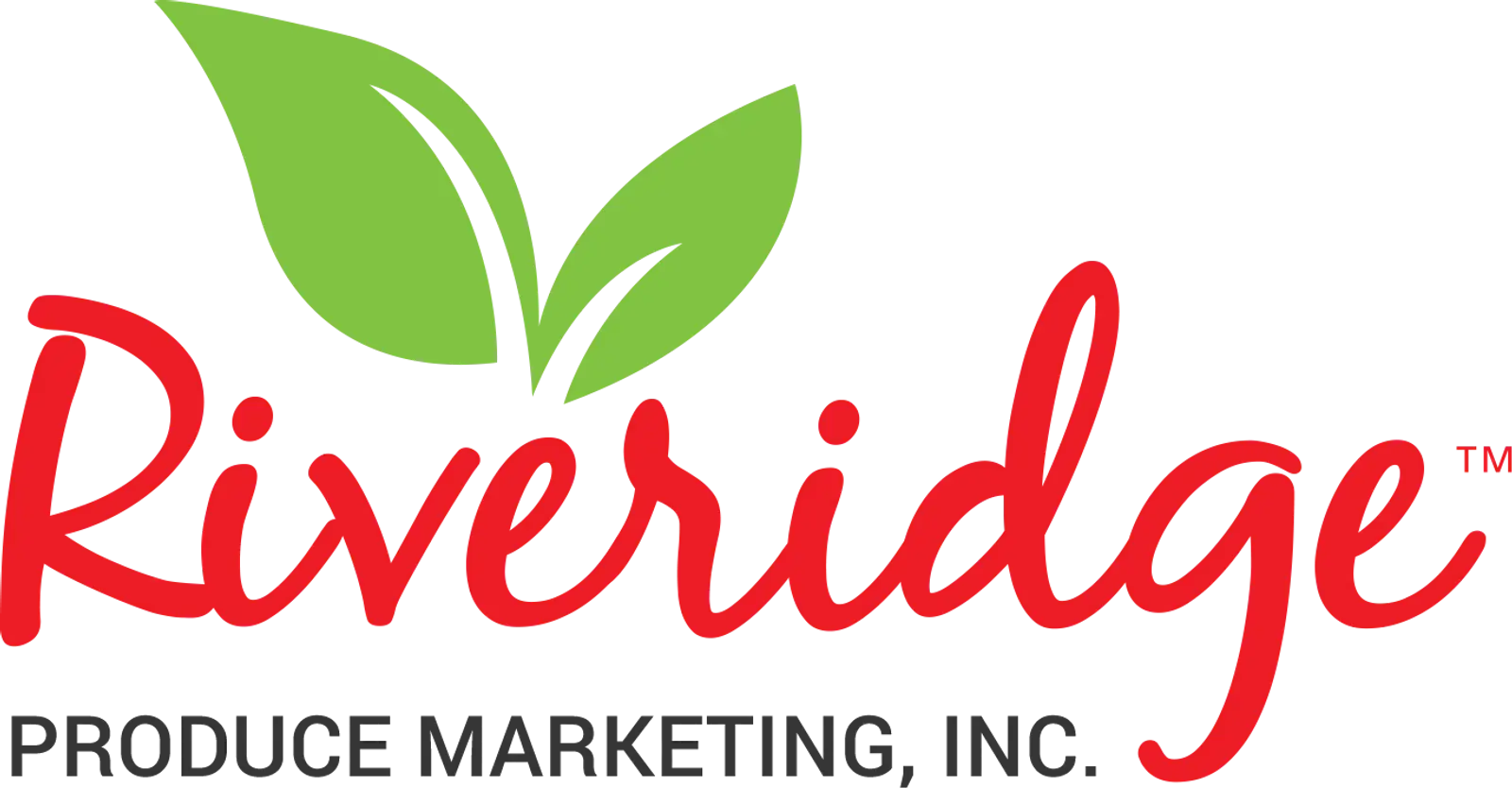 null logo