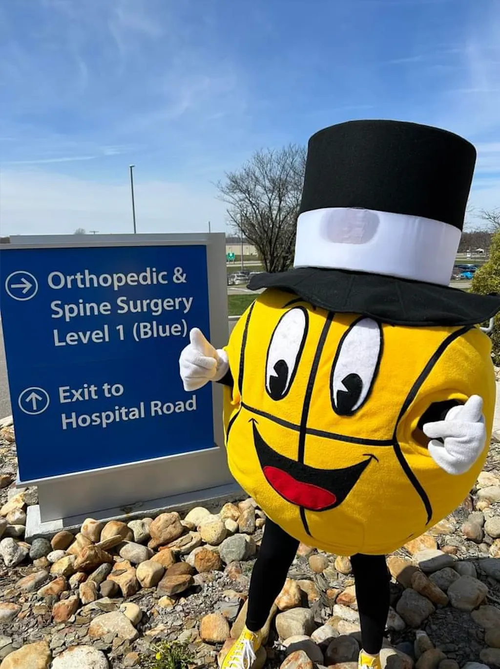 6622bef403fe8ae103d2c6fb