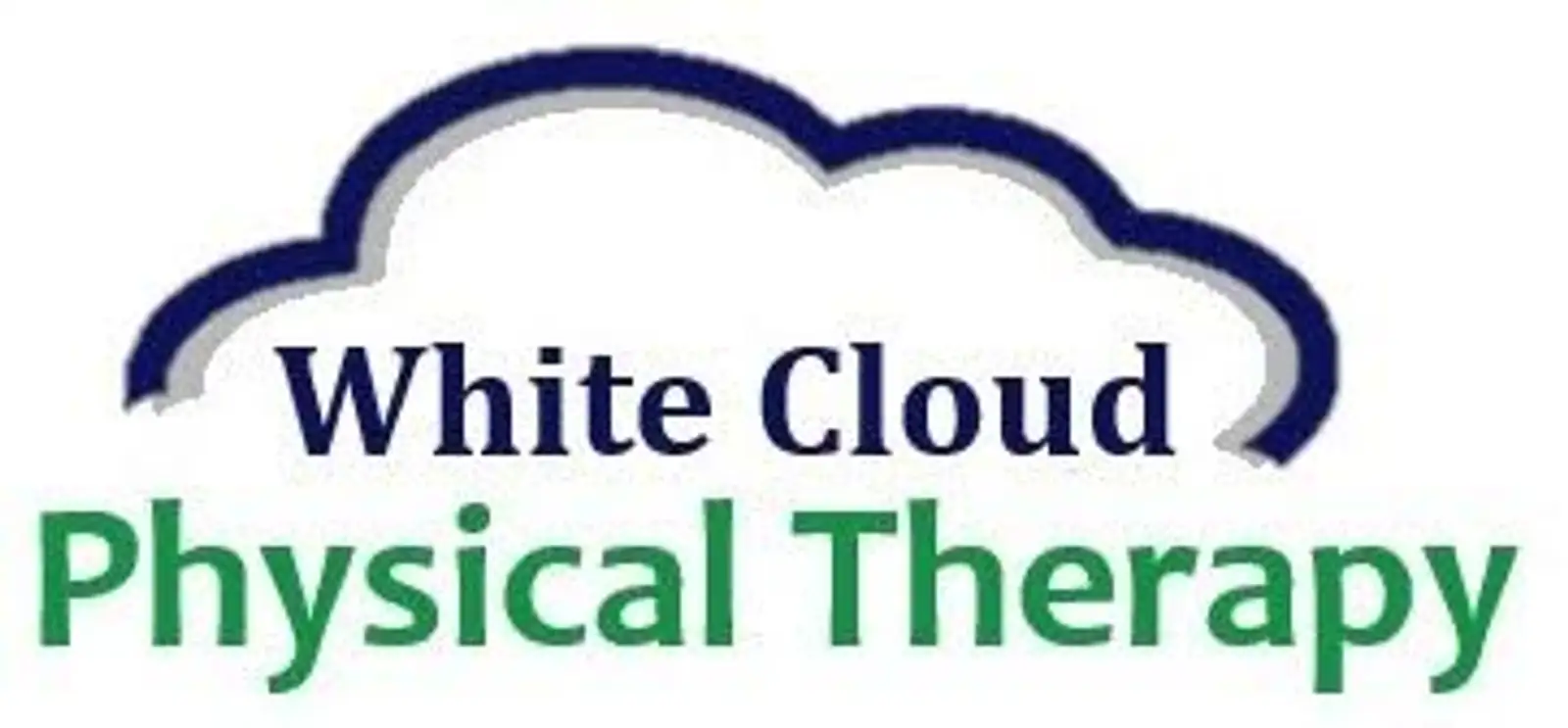 White Cloud Physical Therapy  logo